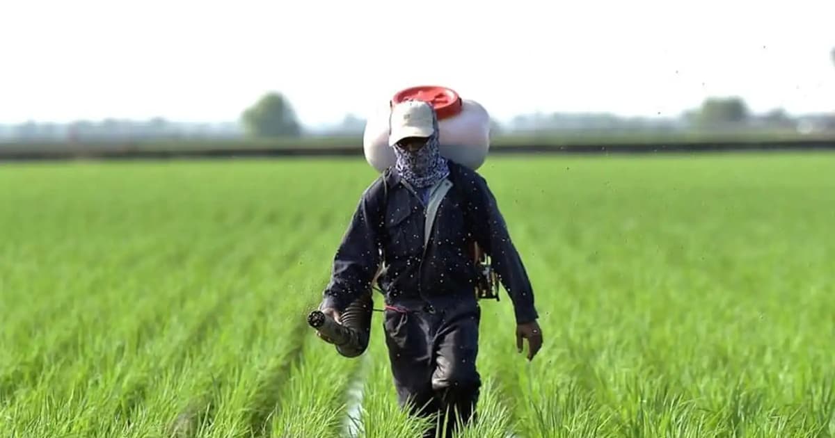 Pendahuluan RM200 ringan beban pesawah, lancarkan musim tanam padi