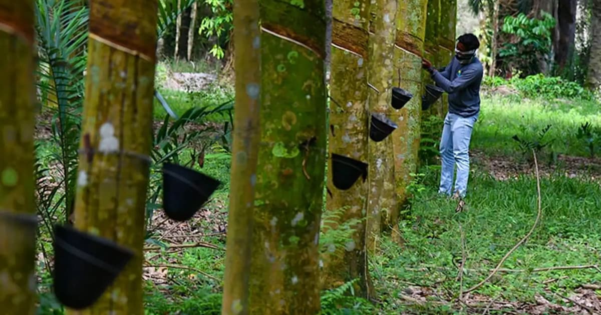 Meyakinkan generasi muda cabaran terbesar sektor agrikomoditi