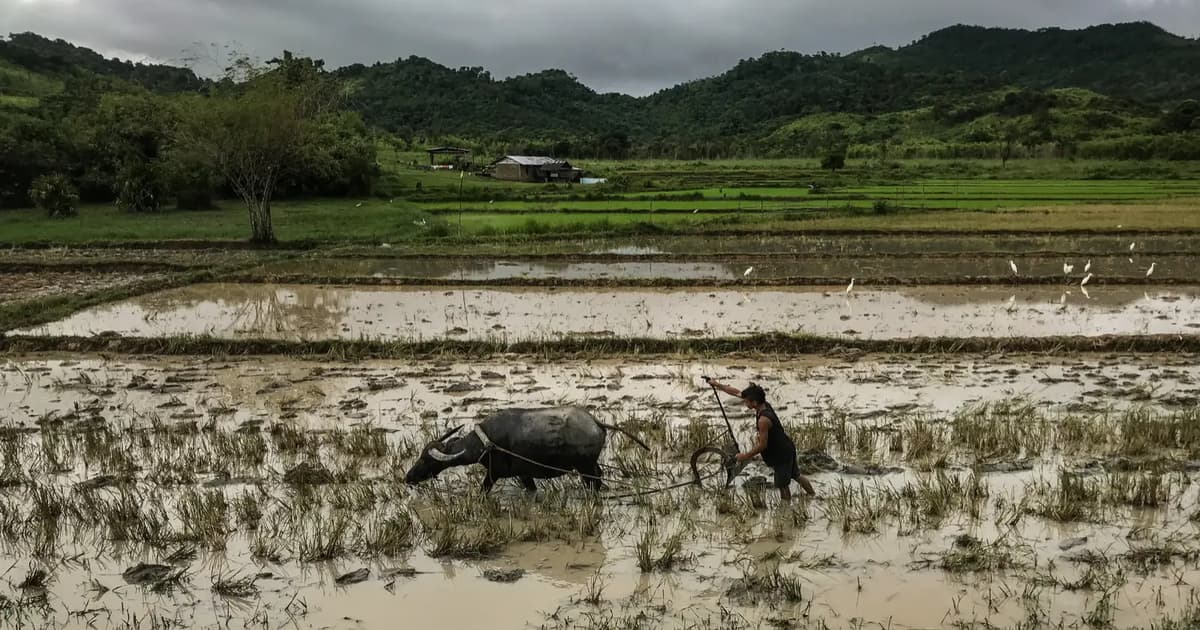 Global food prices rise for third straight month amid Hormuz disruptions