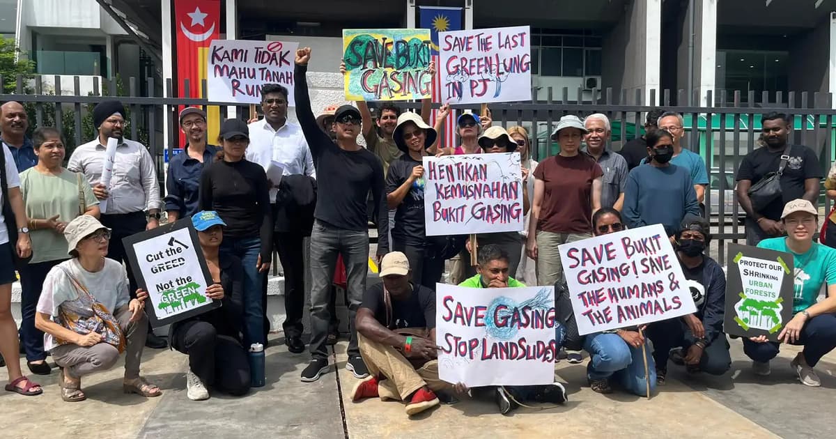 Stop Bukit Gasing deforestation or we’ll sue, NGO tells MBPJ | FMT