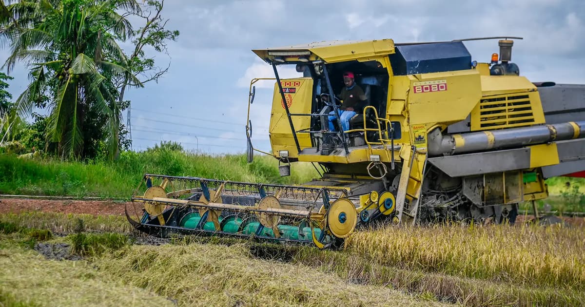 Mada cadang SKDS diperluas kepada industri padi