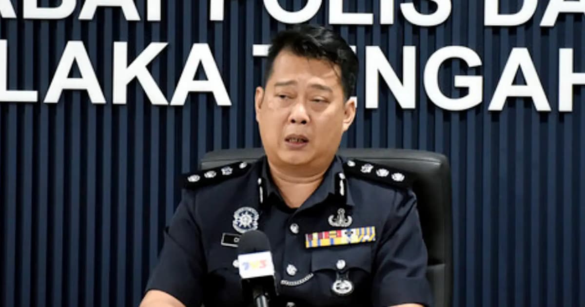 Melaka cops nab 2 Chinese nationals involved in job scam