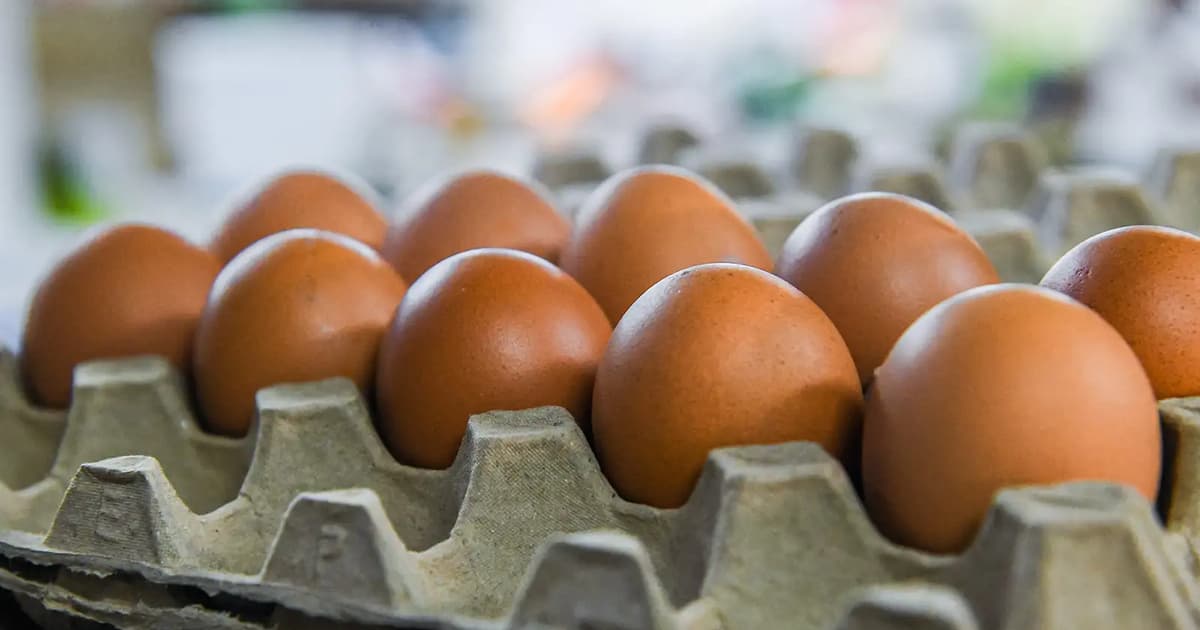 Enough chicken and eggs, but veggies in short supply