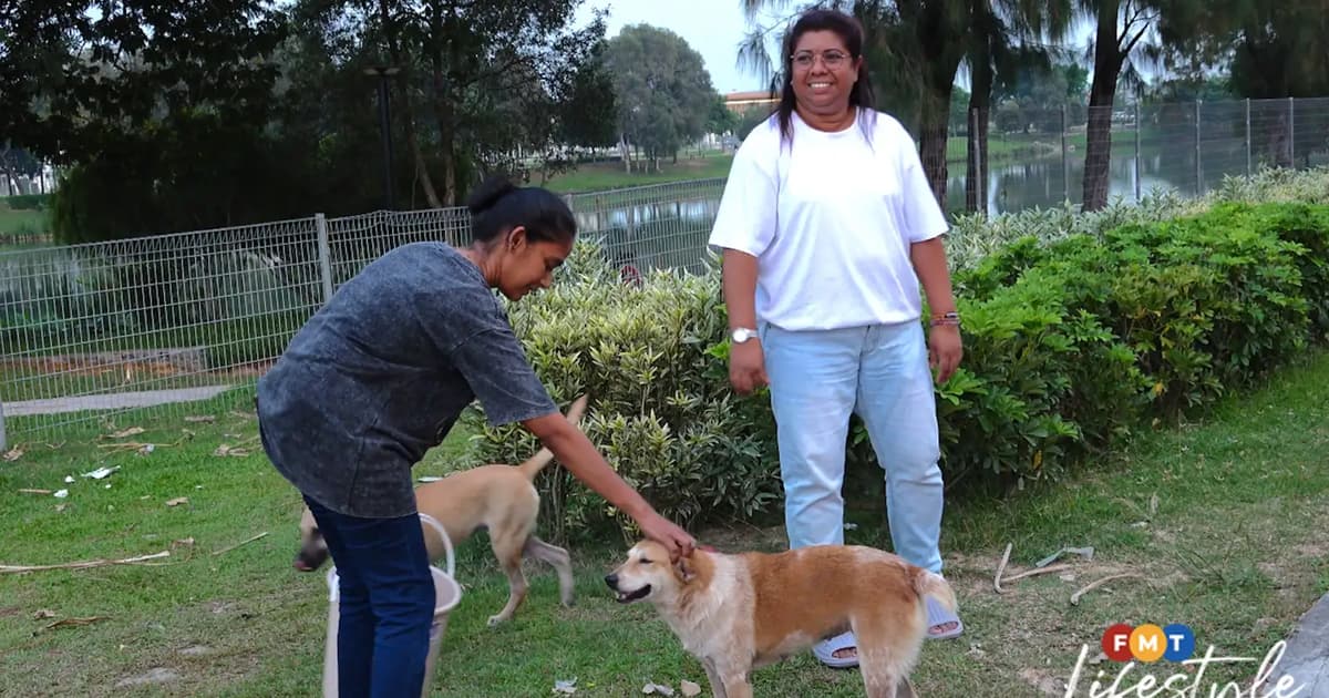 Night after night, these friends care for strays on the streets