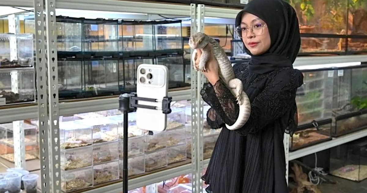 Nina scales to new heights with pet shop venture
