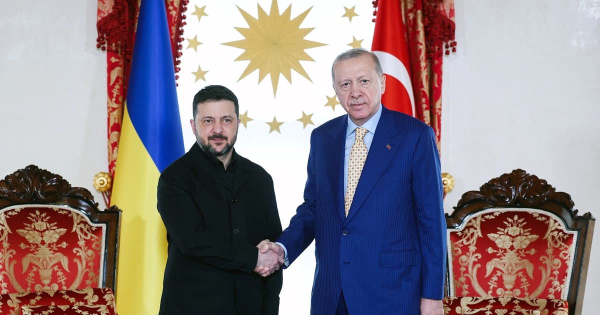 Erdogan, Zelensky discuss energy security, peace efforts