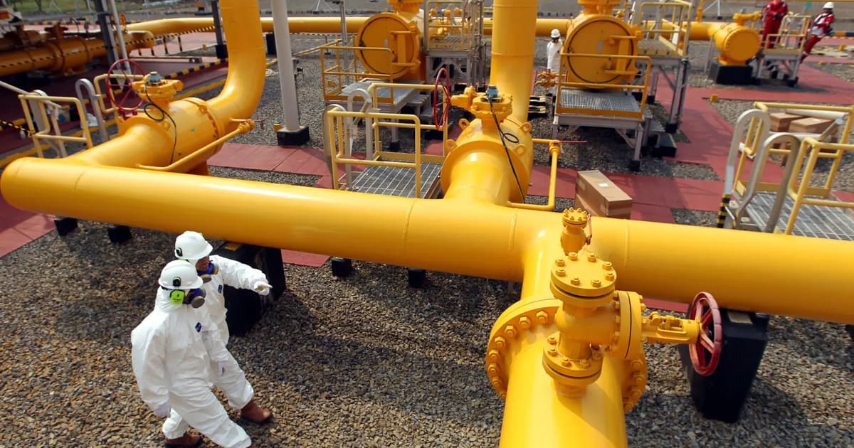 Indonesia makes major gas discovery in effort to boost output