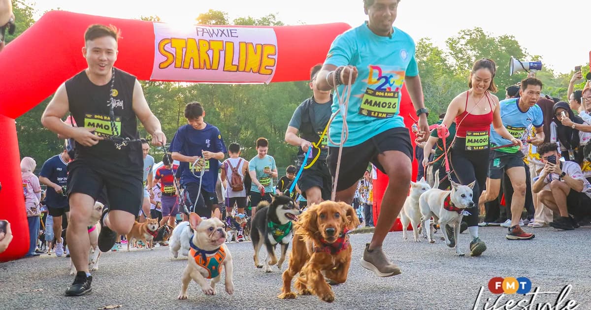 A barking good time as dogs run riot at Dogathon 2026