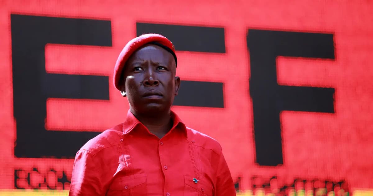 South African opposition leader given 5-year prison sentence in firearm case