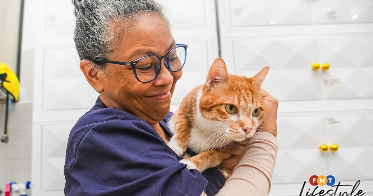 Vet ophthalmologist Nadzariah keeps a close eye on pets’ vision