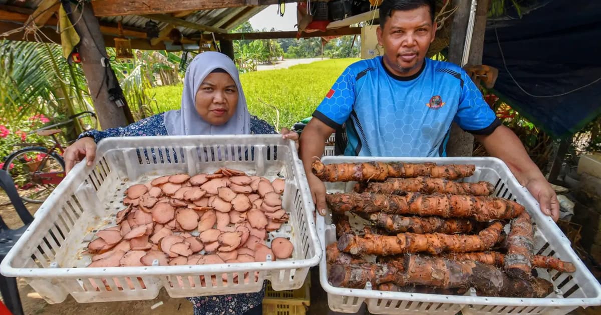 As the heat rises, so does demand for this traditional herbal drink
