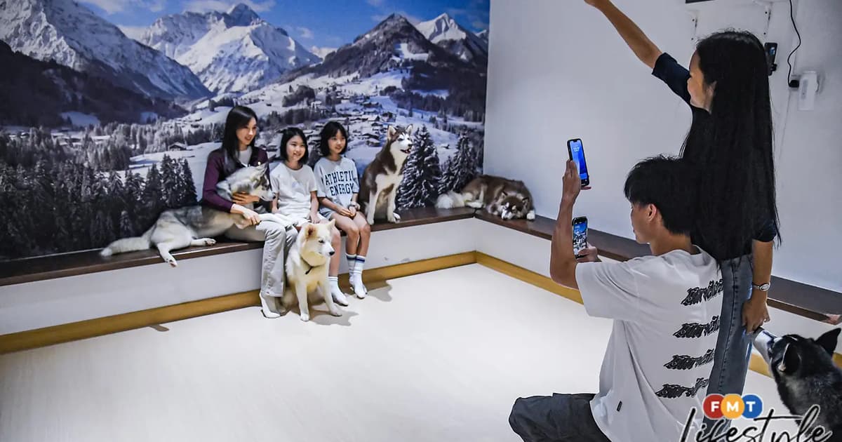 Husko Asia pairs playtime with a deeper message