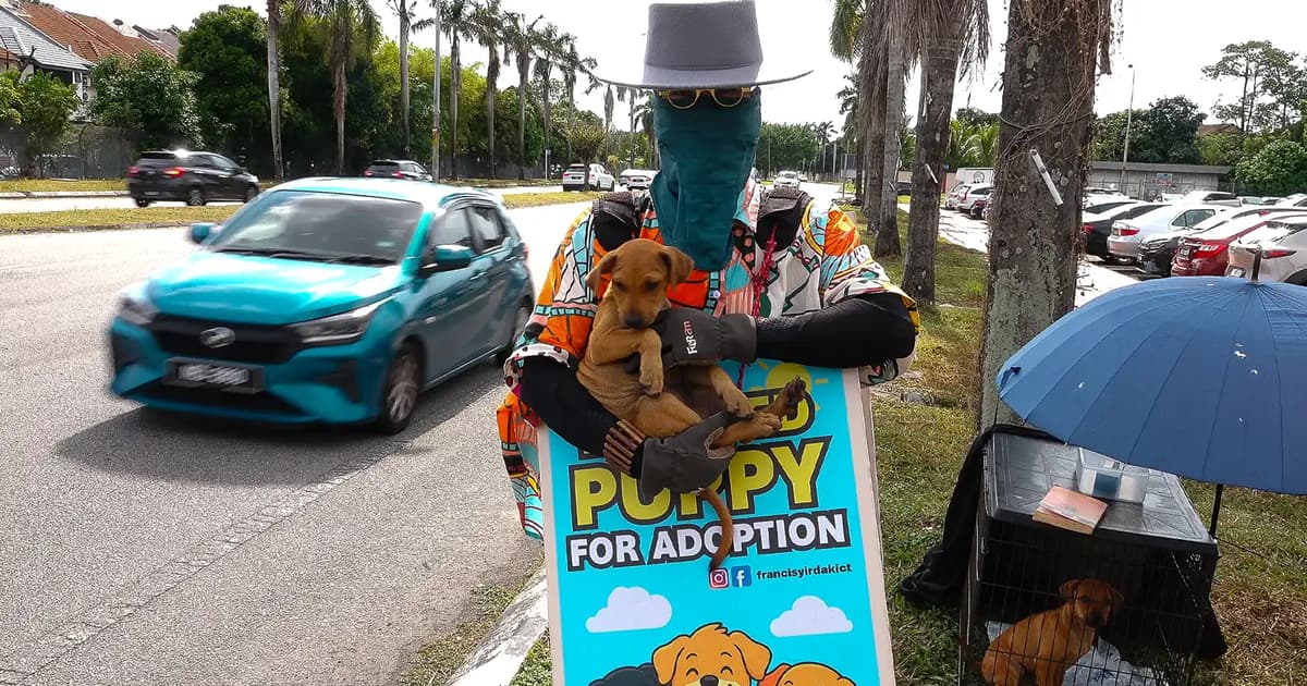 12 tahun ‘korban’ cuti demi haiwan jalanan