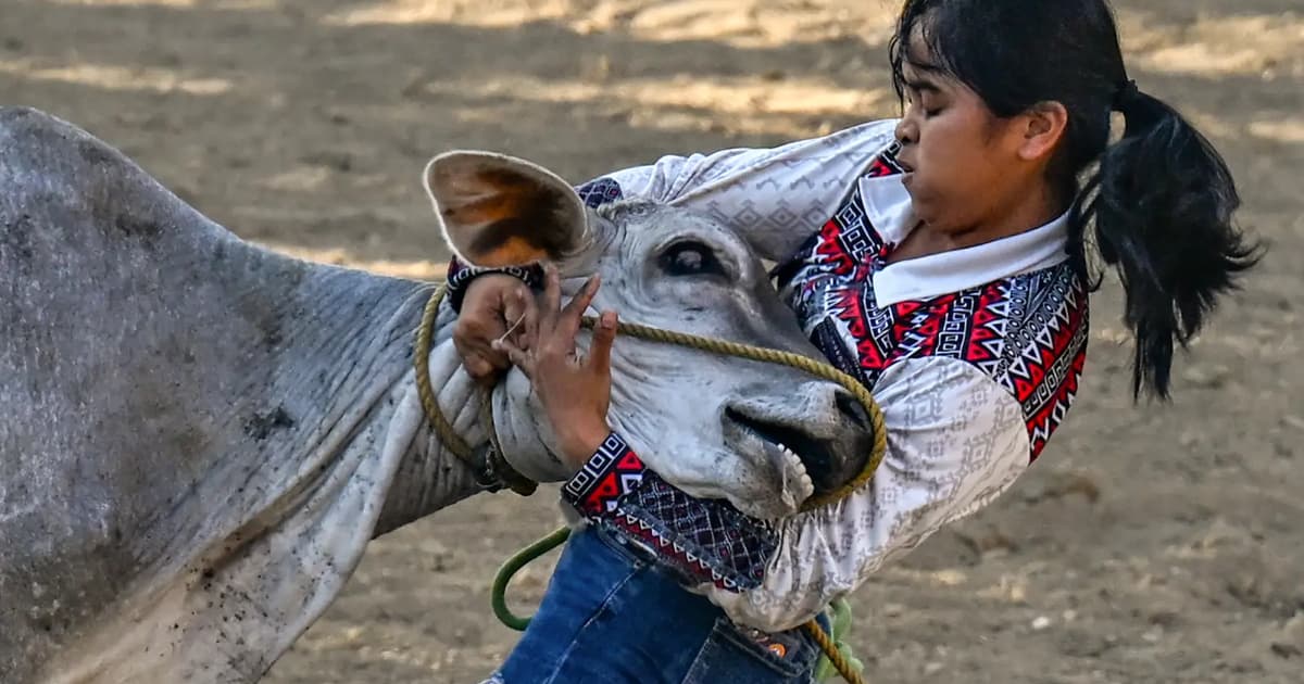 Cowgirls of Philippine rodeo tackle steers, stereotypes