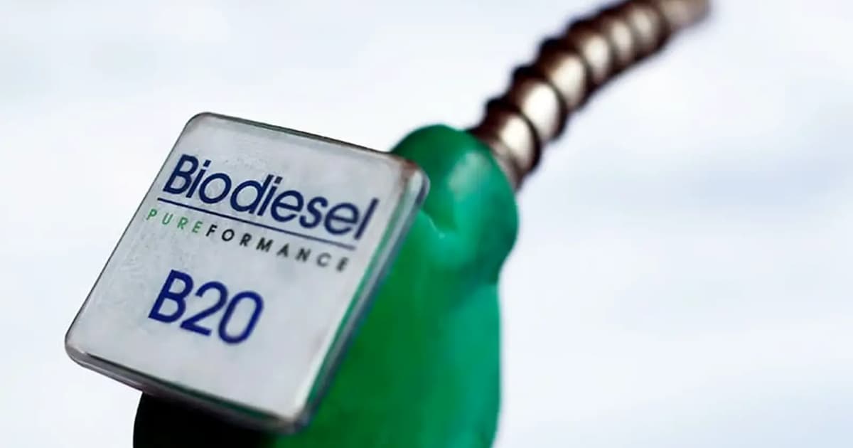 Output from 19 biodiesel plants enough to meet local demand