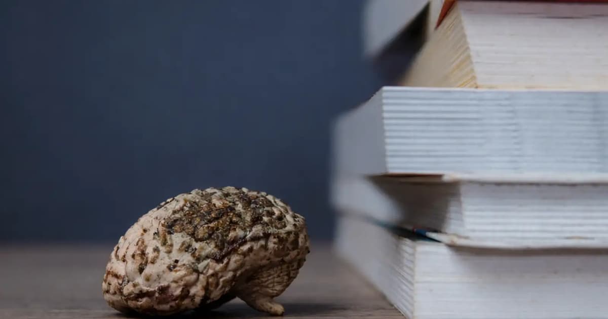 Is ‘brain rot’ rewiring how we think – and read?