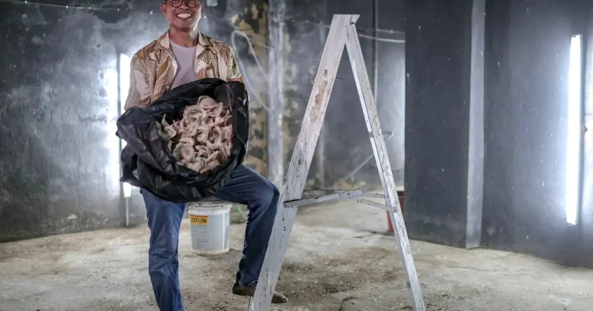 Former educator takes flight with swiftlet farming