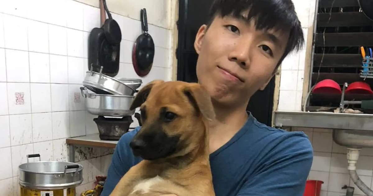 Feeding strays by night, building cages for them by day