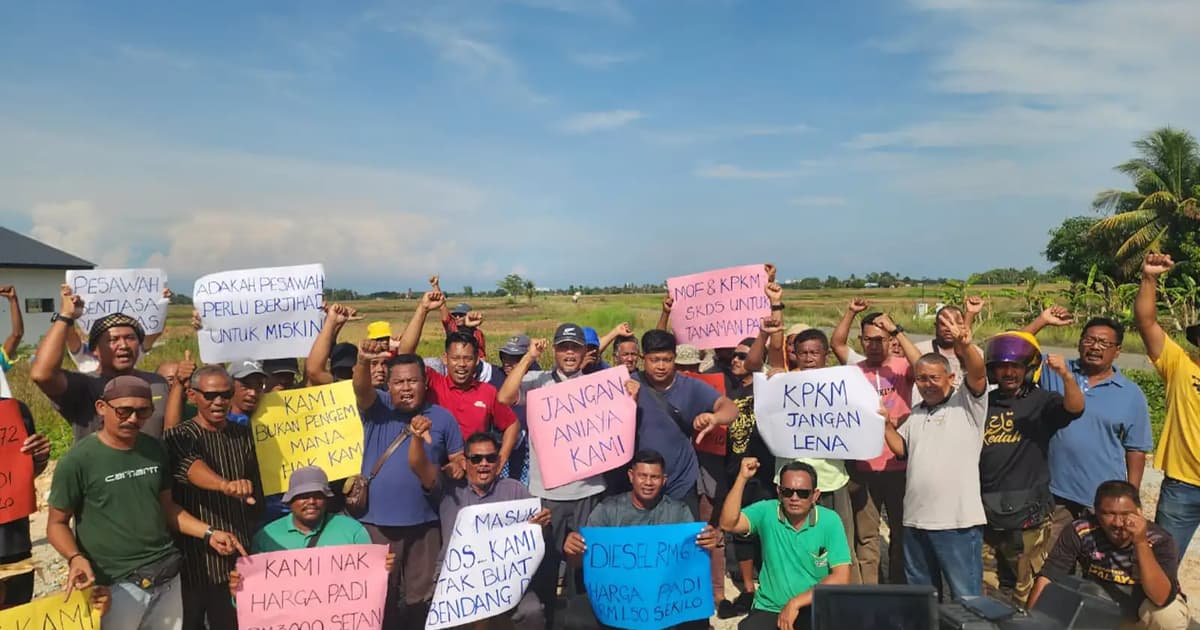 Pesawah ancam henti tanam padi musim ini jika tiada subsidi diesel