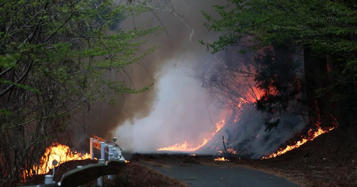 Hundreds of firefighters battle Japan’s forest blazes