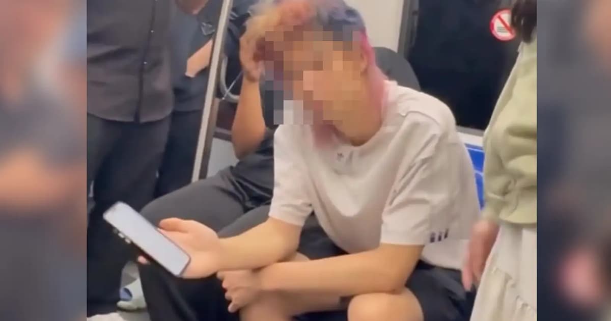 中国公民轻轨、捷运两起性犯罪案落网