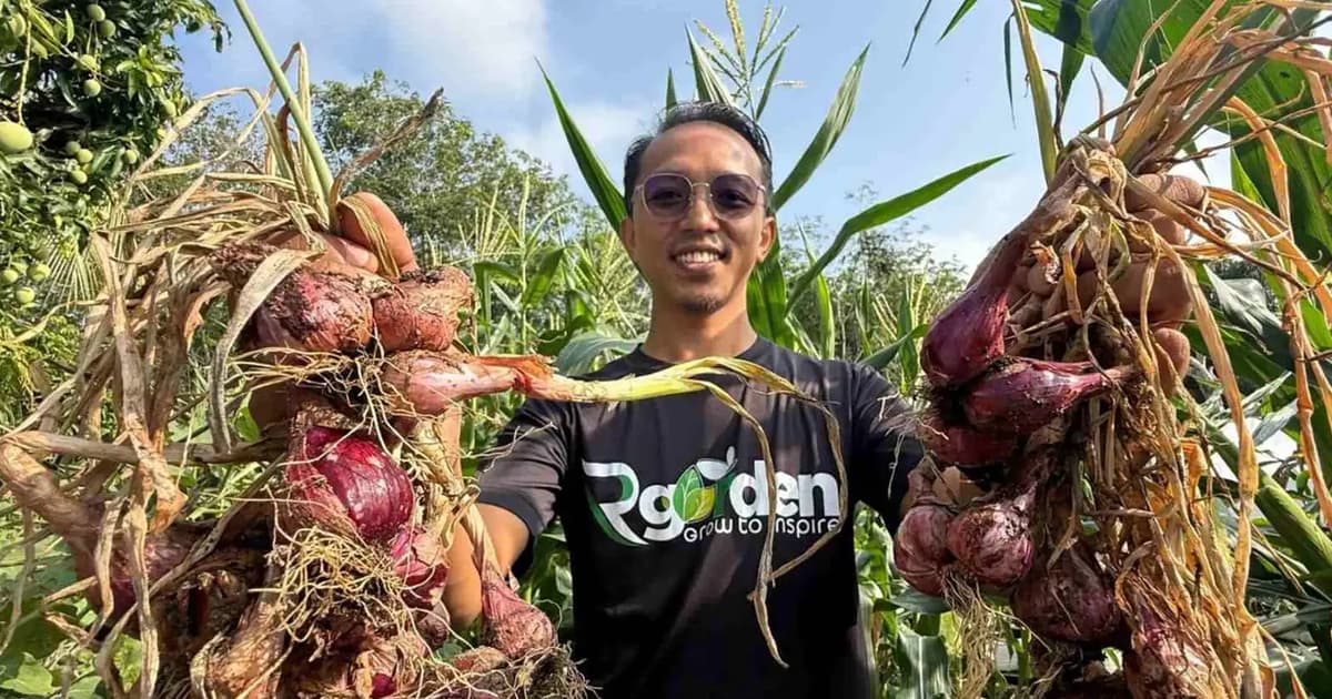 From small garden to big harvest, Melaka man feeds more than his family