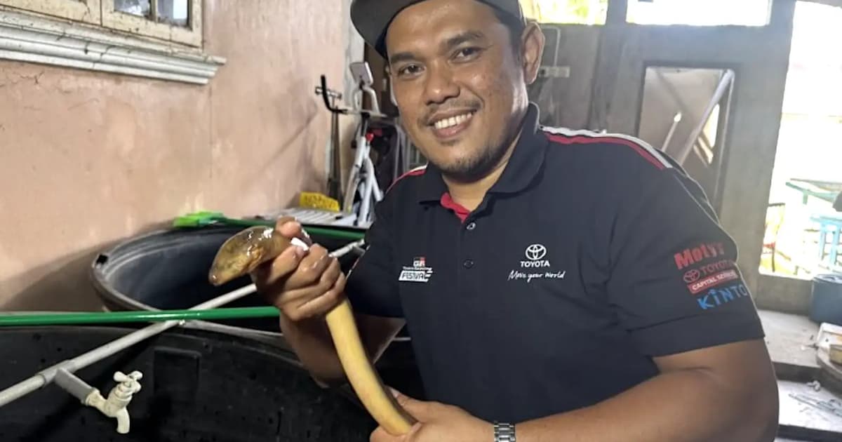 Kelantan friends find slithery success with eel farm