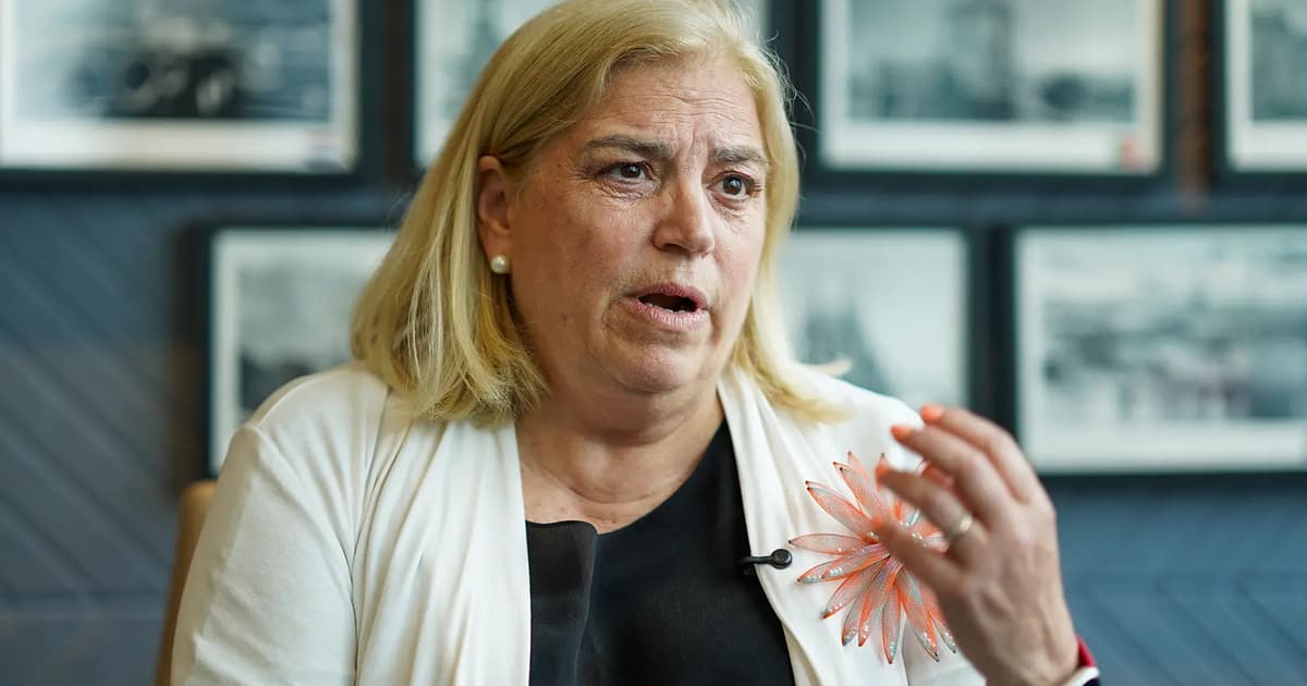 ‘Might makes right’ world driving energy instability, says EU envoy