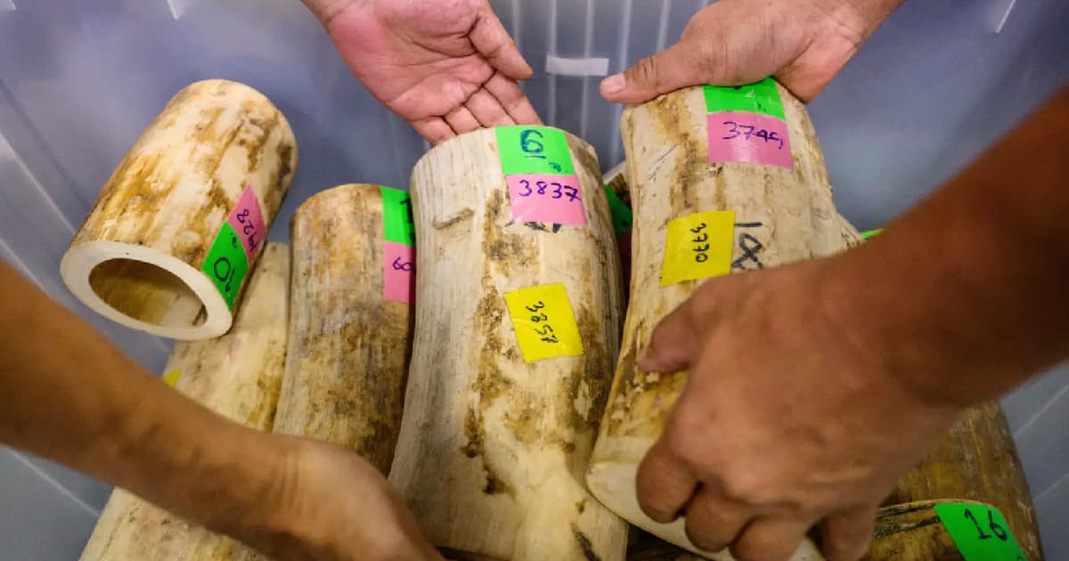 Thai police arrest 9 in largest ivory seizure in decade