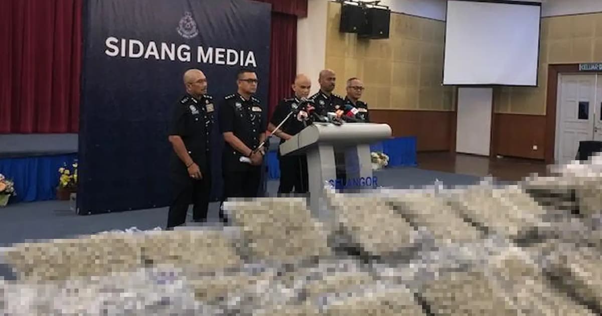 Polis rampas bunga ganja RM12.6 juta, tahan 7 ‘keldai dadah’