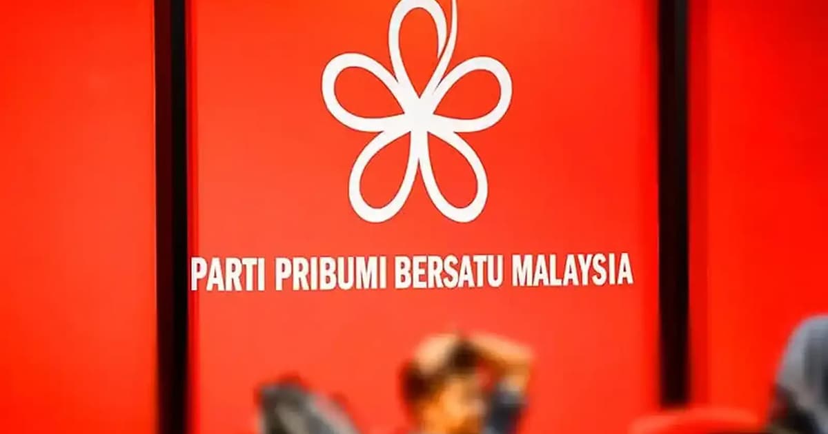 Bersatu mungkin stabil tapi berdepan risiko hilang kepelbagaian, kata penganalisis