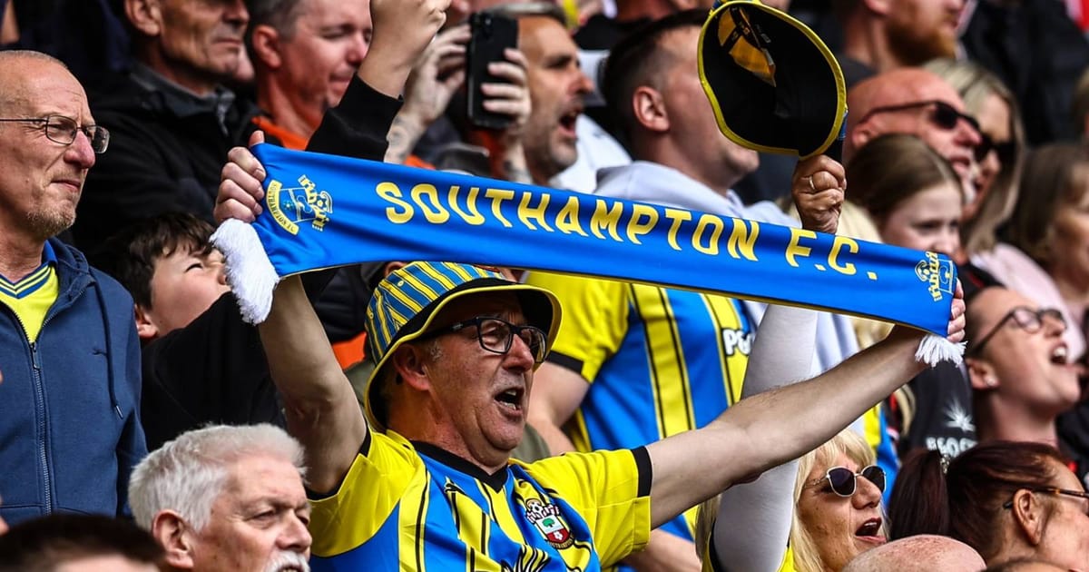 Southampton to play Hull at Wembley for Premier League place