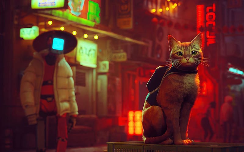 ＜BB.Kong＞STRAY CATS UNRELEASED DEMO Stray': the video game that has transfixed cats worldwide | FMT