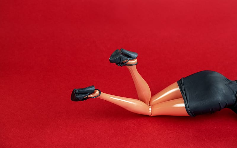 Sex dolls, life partners like any other?