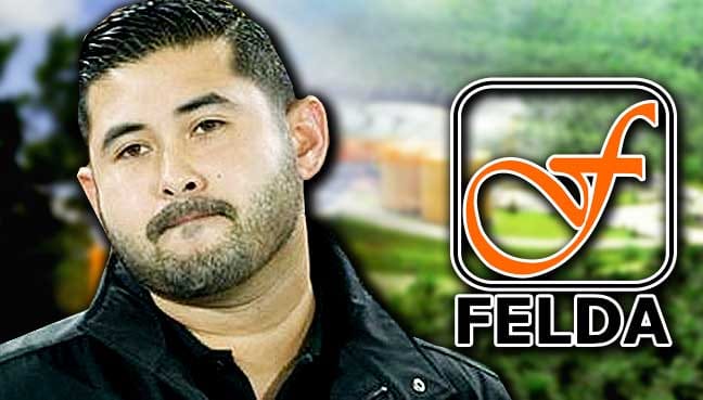 tmj-felda