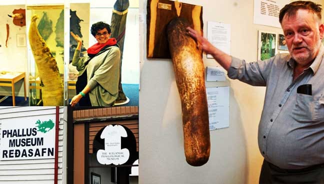 Icelandic-Phallological-Museum