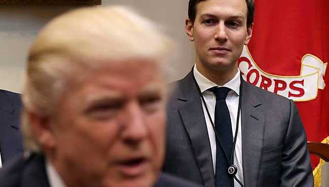 kushner-trump