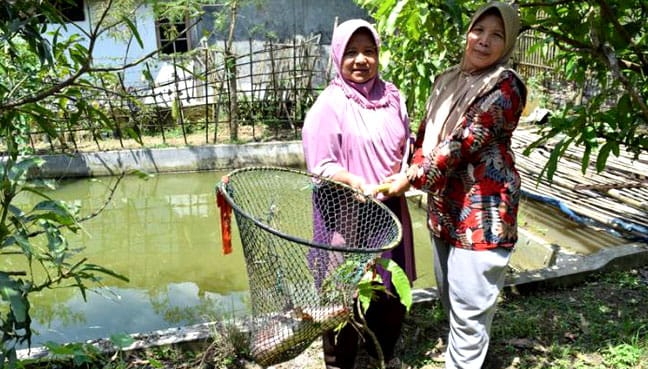 Fish-farm