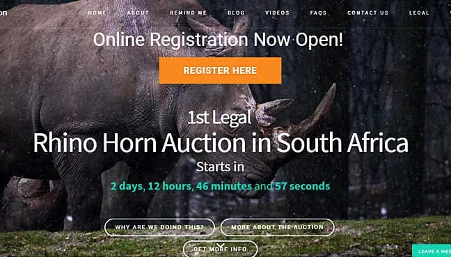 Rhino-horn-auction