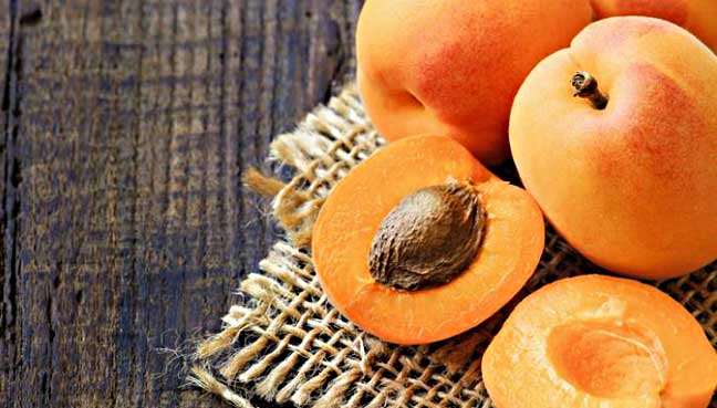 apricots-and-a-kernel