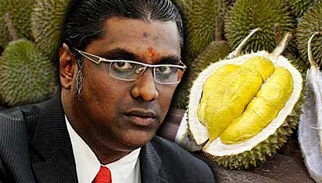 RSN-Rayer_durian_600