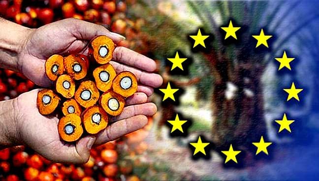 kelapa-sawit_eu_600_new