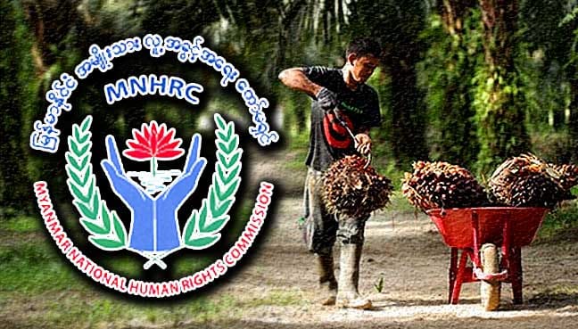 mnhrc_kelapa-sawit_600