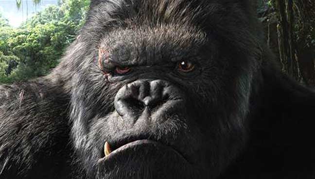 king-kong