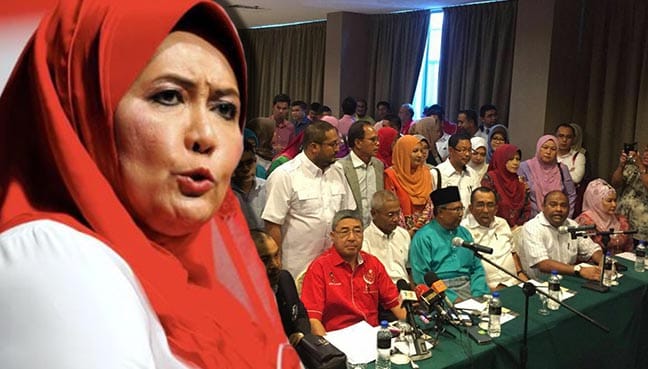 Saya tidak tahu sidang media untuk singkir Mukhriz – Maznah Hamid