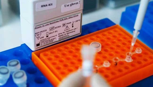 Irradiated-mosquitoes-to-help-zap-Zika's-power