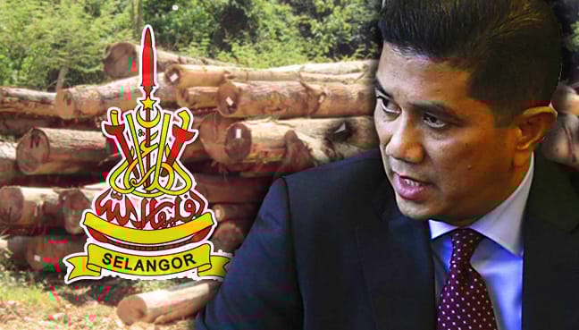 MB, Exco tidak terlibat penganugerahan balak