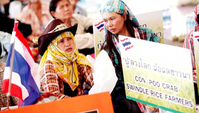 rice-farmer-thailand