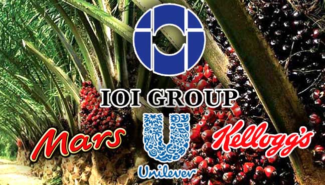 IOI-Group3