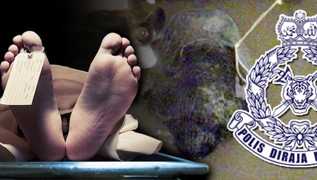 Mayat dibungkus pukat, kaki diikat batu bata